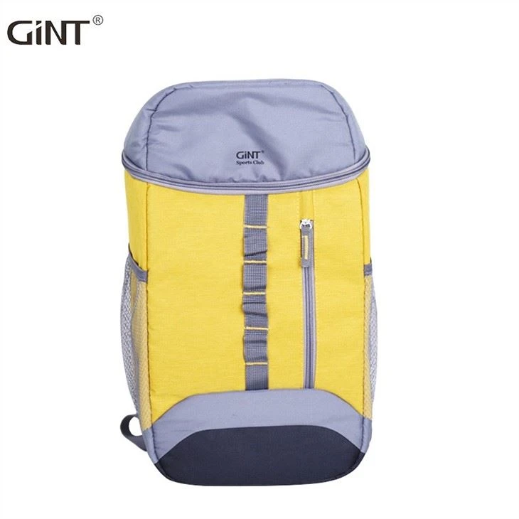 Hot Sale Portable Insulated Soft-Sided Ice Cooler Thermal Backpack suppliers