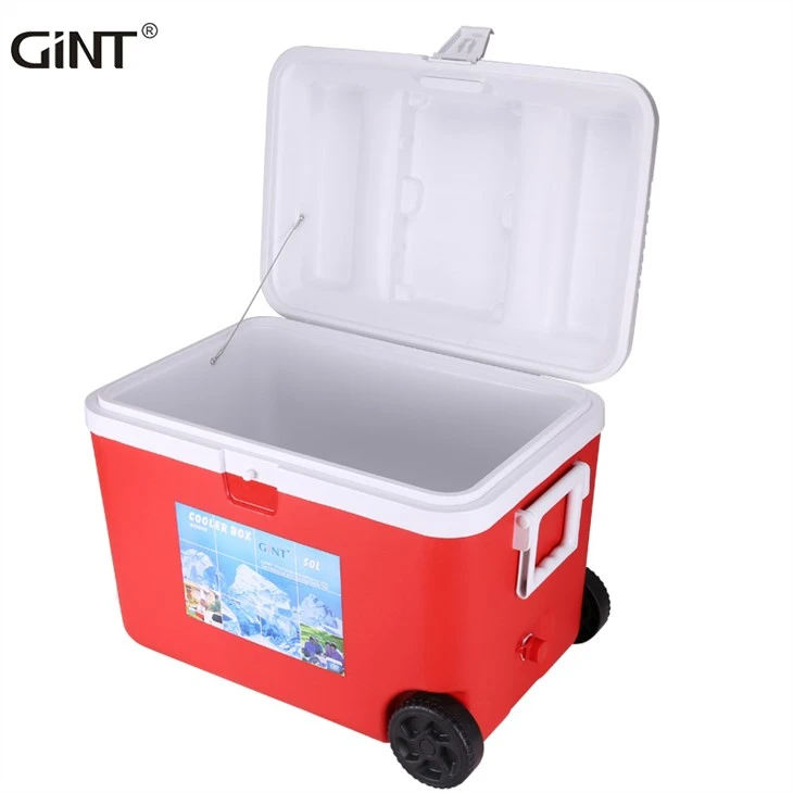 Cooler Box